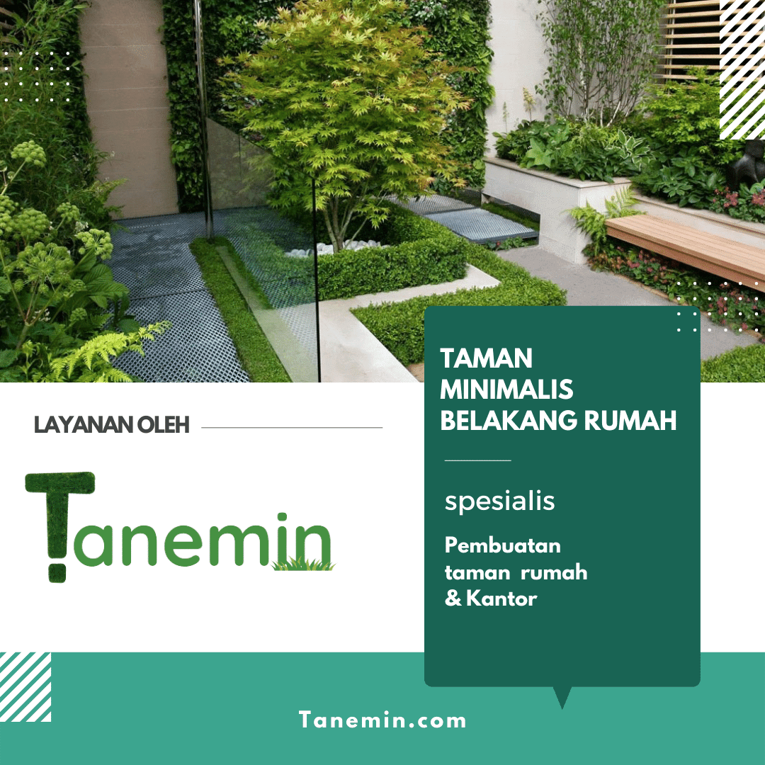 jasa taman minimalis jakarta