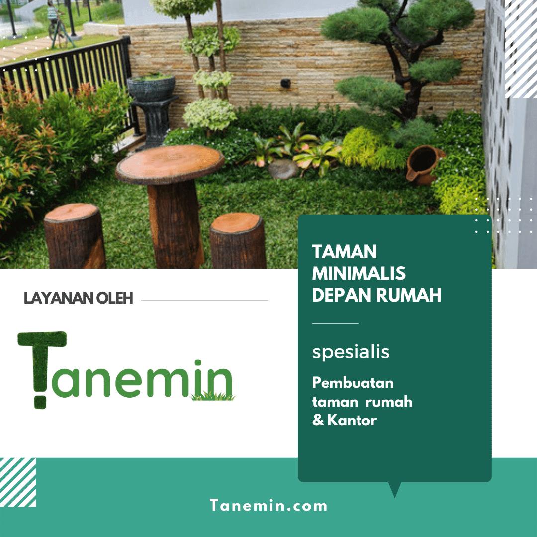 jasa taman minimalis jakarta